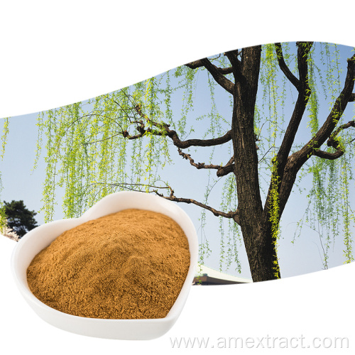 Natural 98% White Willow Bark Extract Salicin